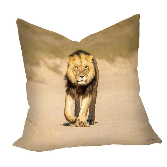 Male Lion Luxury Scatter By Fanie Heymans