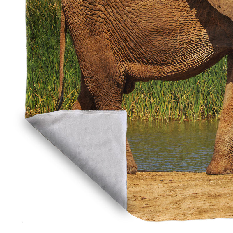 Addo Elephant Loxodonta Light Weigt Fleece Blanket By Fanie Heymans