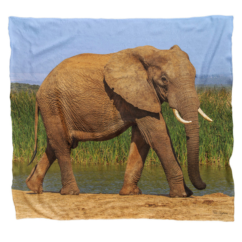 Addo Elephant Loxodonta Light Weigt Fleece Blanket By Fanie Heymans