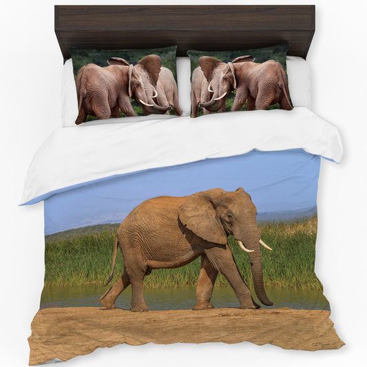 Addo Elephant By Fanie Heymans Duvet Cover Set