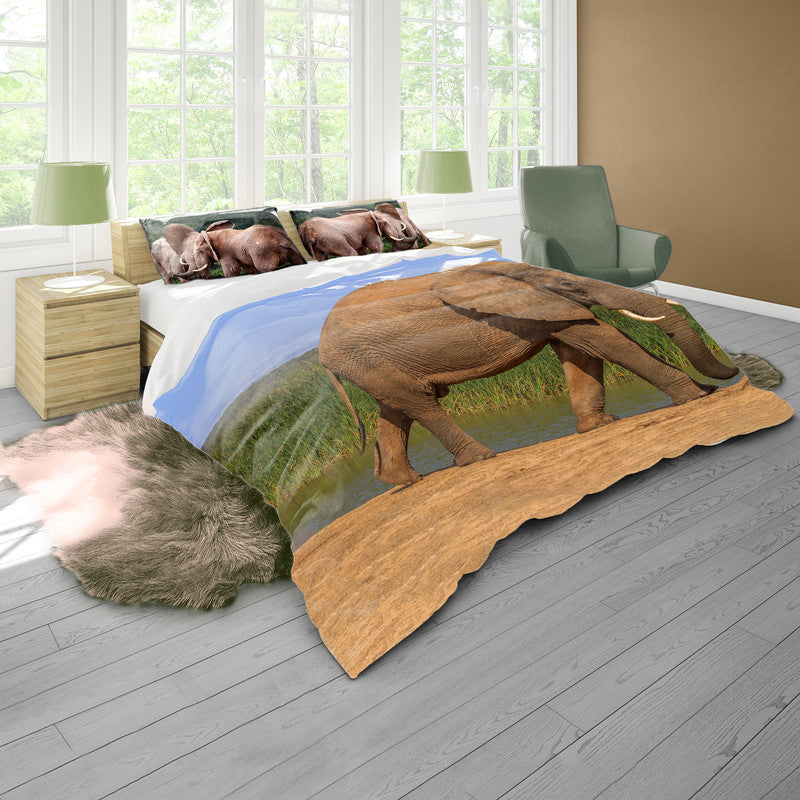 Addo Elephant By Fanie Heymans Duvet Cover Set