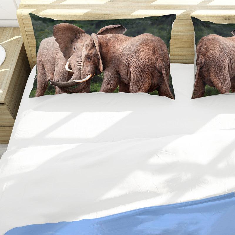 Addo Elephant By Fanie Heymans Duvet Cover Set