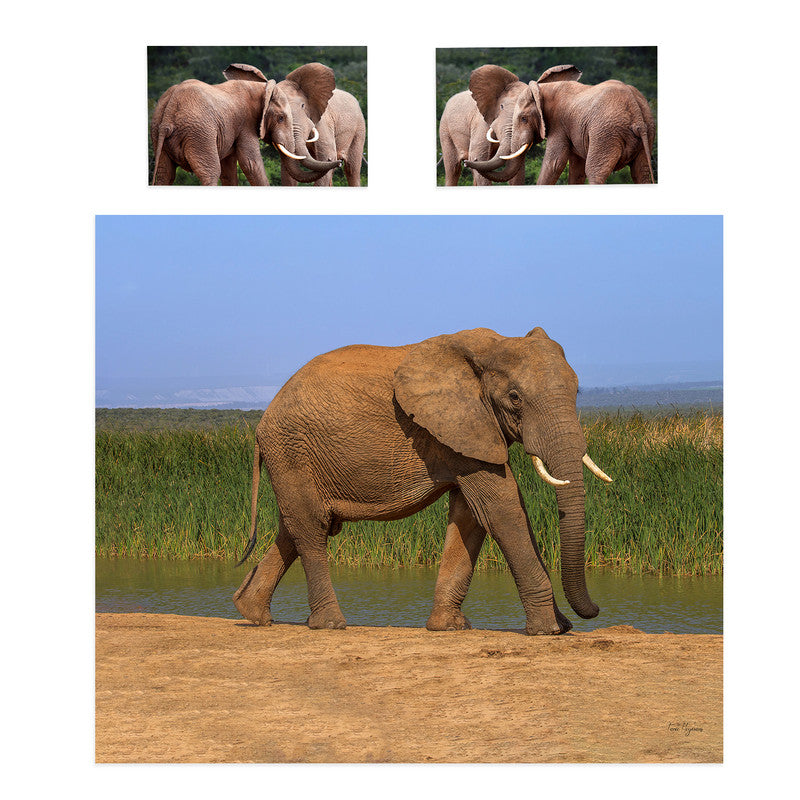 Addo Elephant By Fanie Heymans Duvet Cover Set