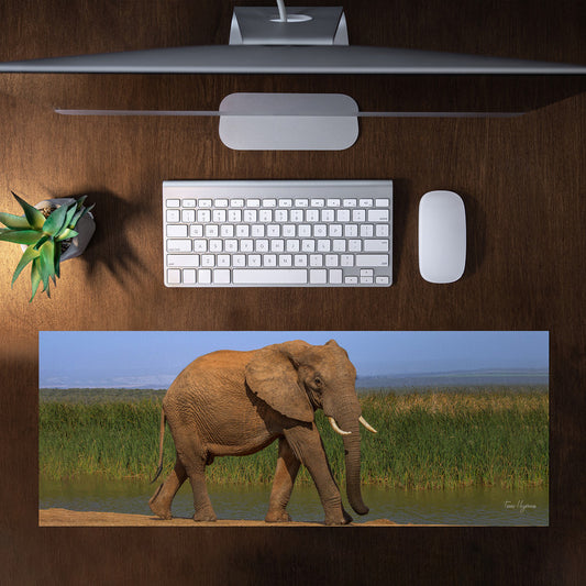 Addo Elephant Loxodonta Large Desk Pad By Fanie Heymans