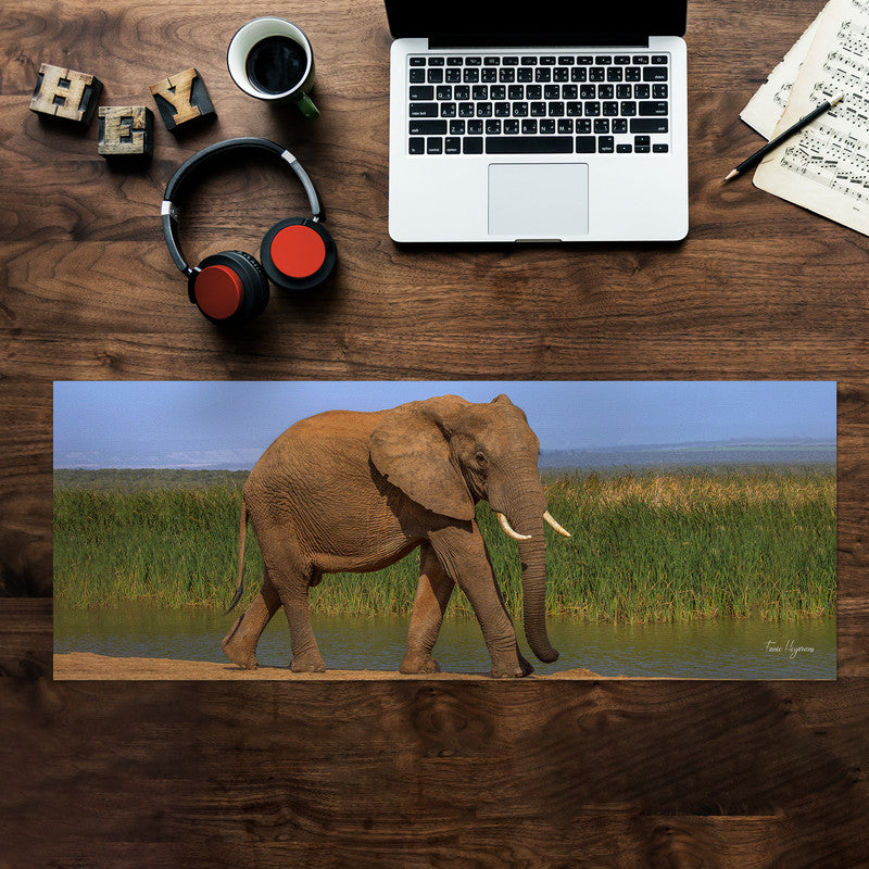 Addo Elephant Loxodonta Large Desk Pad By Fanie Heymans
