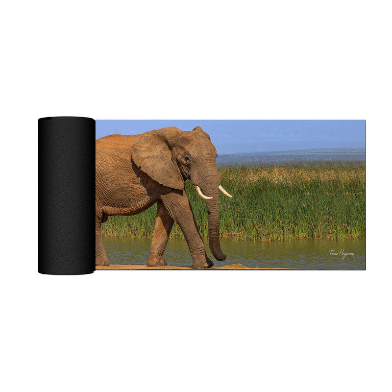 Addo Elephant Loxodonta Large Desk Pad By Fanie Heymans