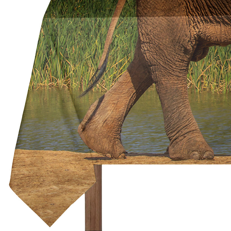 Addo Elephant Loxodonta By Fanie Heymans Rectangle Tablecloth