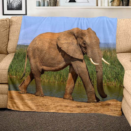 Addo Elephant Loxodonta Light Weigt Fleece Blanket By Fanie Heymans