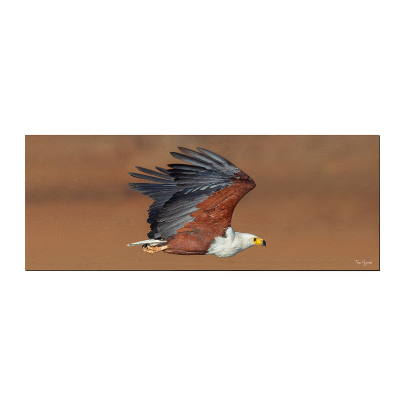 African Fish Eagle Kruger Desk Pad by Fanie Heymans