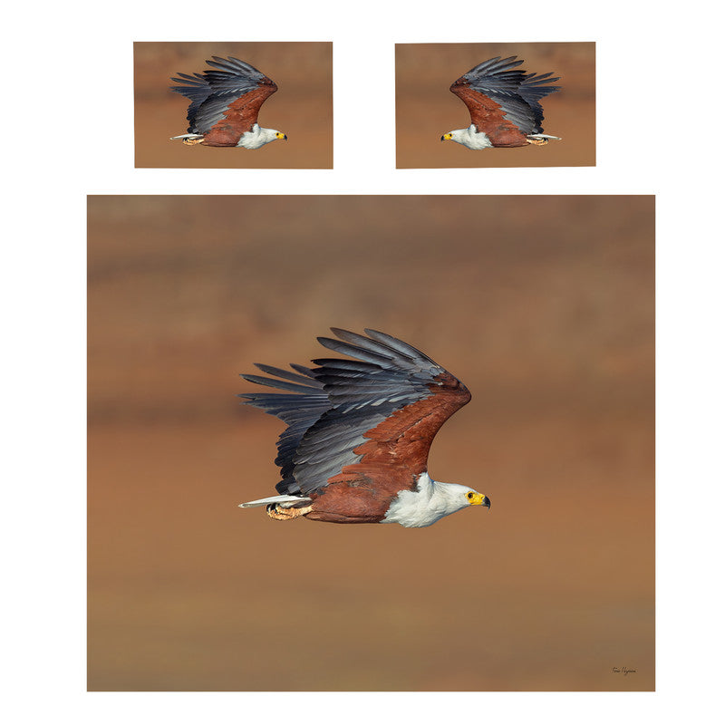 African Fish Eagle Kruger Duvet Cover Set by Fanie Heymans