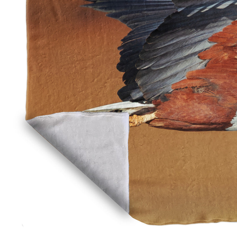 African Fish Eagle Kruger Light Weight Fleece Blanket by Fanie Heymans