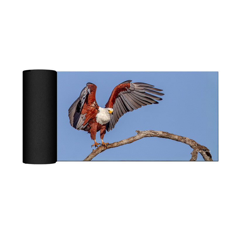 African Fish Eagle Landing Desk Pad by Fanie Heymans