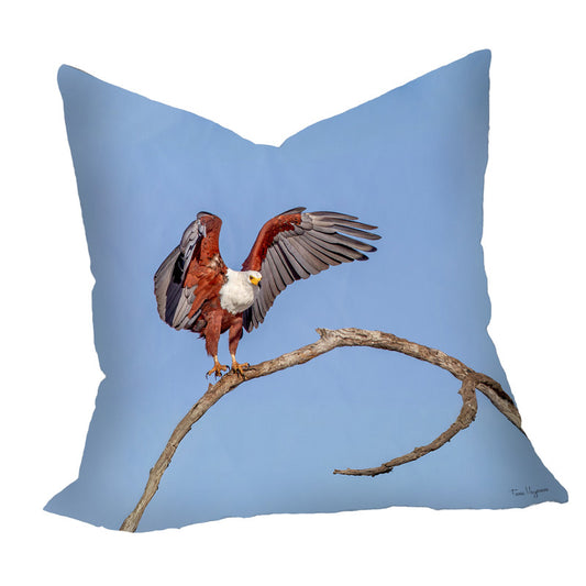 African Fish Eagle Landing Luxury Scatter by Fanie Heymans