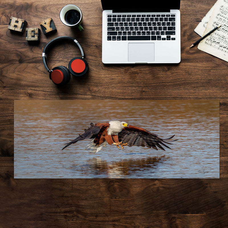 African Fish Eagle Left Desk Pad by Fanie Heymans