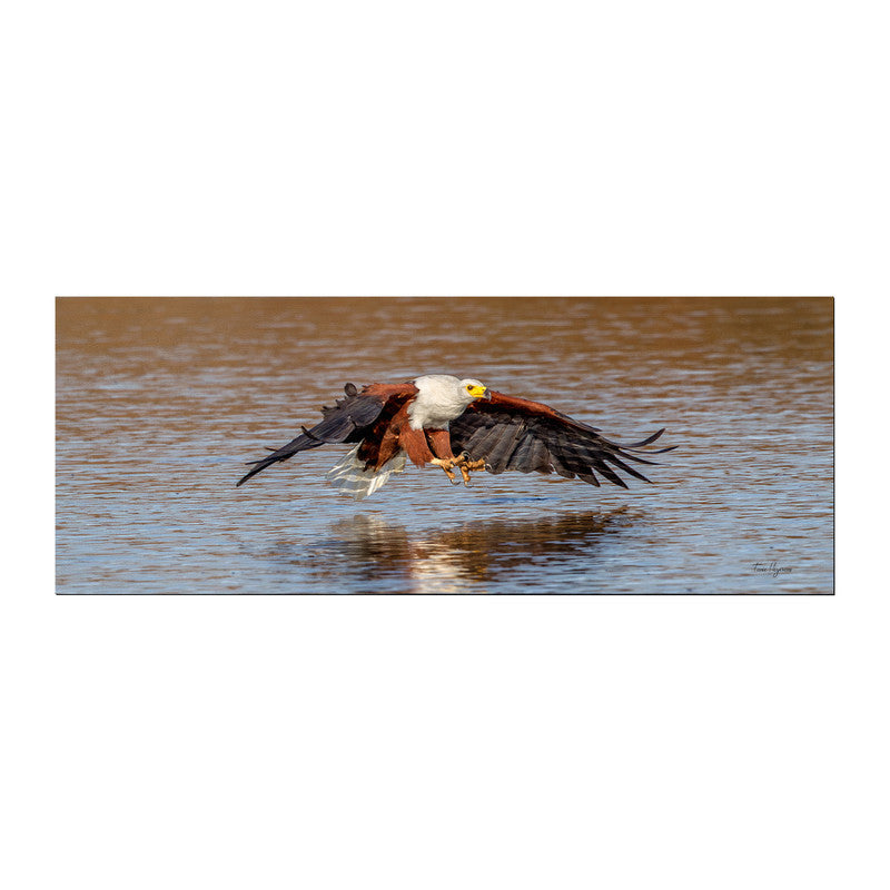 African Fish Eagle Left Desk Pad by Fanie Heymans