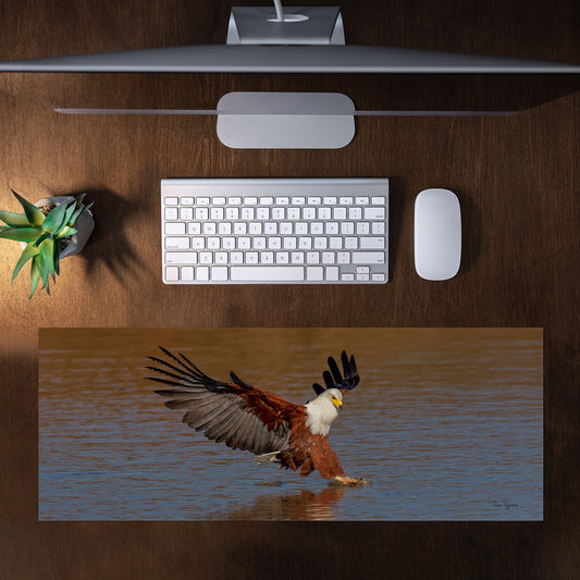 African Fish Eagle Catching Fish Large Desk Pad by Fanie Heymans