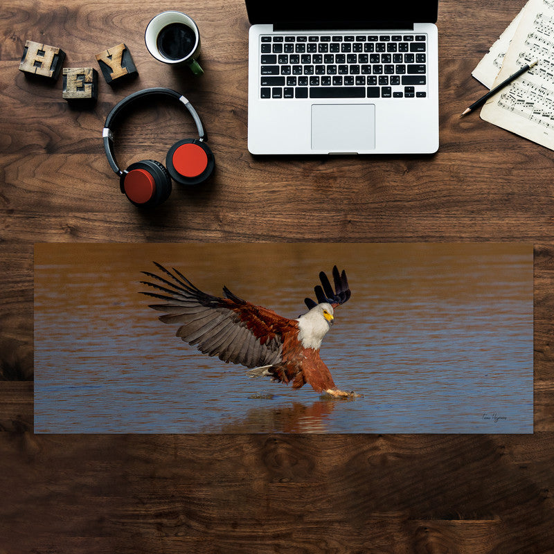 African Fish Eagle Middle Desk Pad by Fanie Heymans