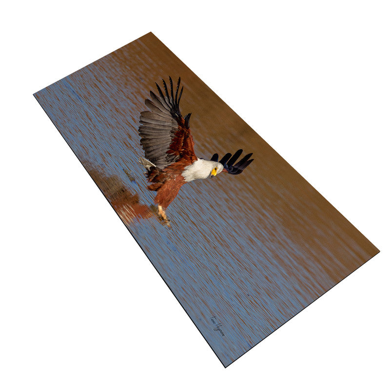 African Fish Eagle Catching Fish Large Desk Pad by Fanie Heymans