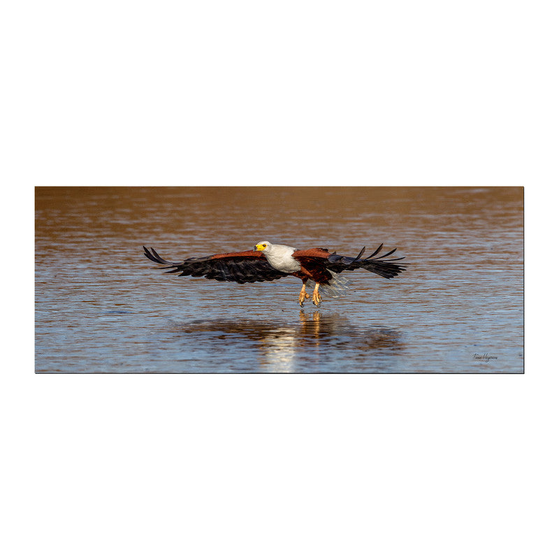 African Fish Eagle Right Desk Pad by Fanie Heymans