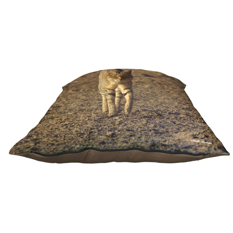 African Wild Cat Luxury Scatter by Annette Heymans