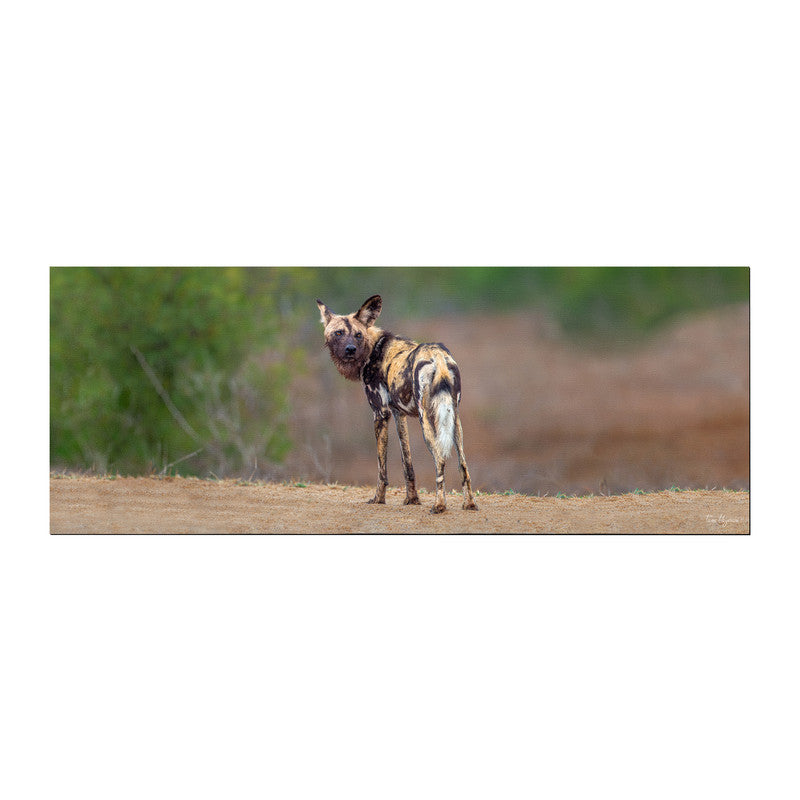 African Wild Dog Desk Pad by Fanie Heymans