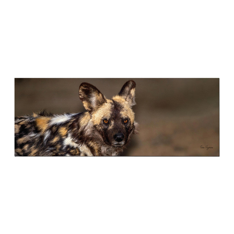 African Wild Dog Desk Pad by Fanie Heymans