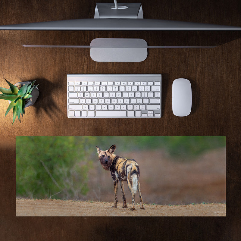 African Wild Dog Desk Pad by Fanie Heymans