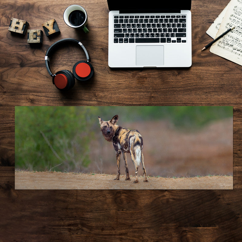 African Wild Dog Desk Pad by Fanie Heymans