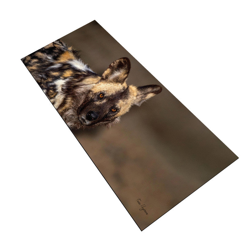 African Wild Dog Desk Pad by Fanie Heymans