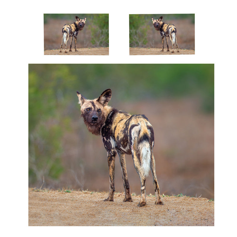 African Wild Dog Duvet Cover Set by Fanie Heymans