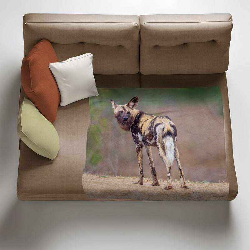 African Wild Dog Light Weight Fleece Blanket by Fanie Heymans