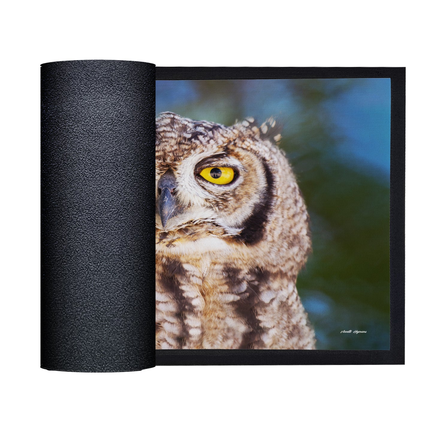 African Spotted Eagle Owl Door Mat by Annette Heymans
