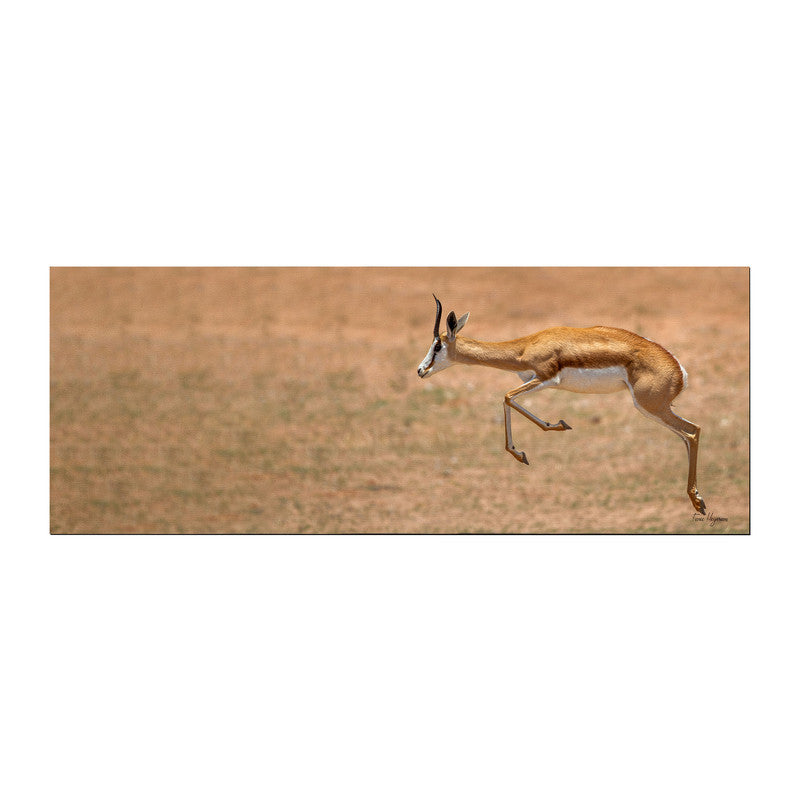 Airborne Springbok Desk Pad by Fanie Heymans
