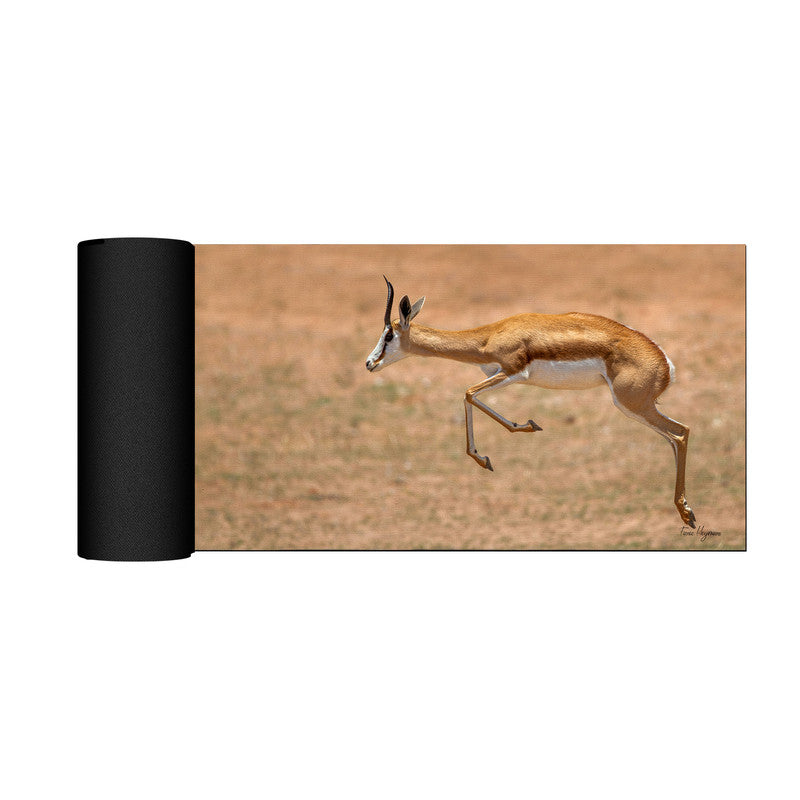 Airborne Springbok Desk Pad by Fanie Heymans