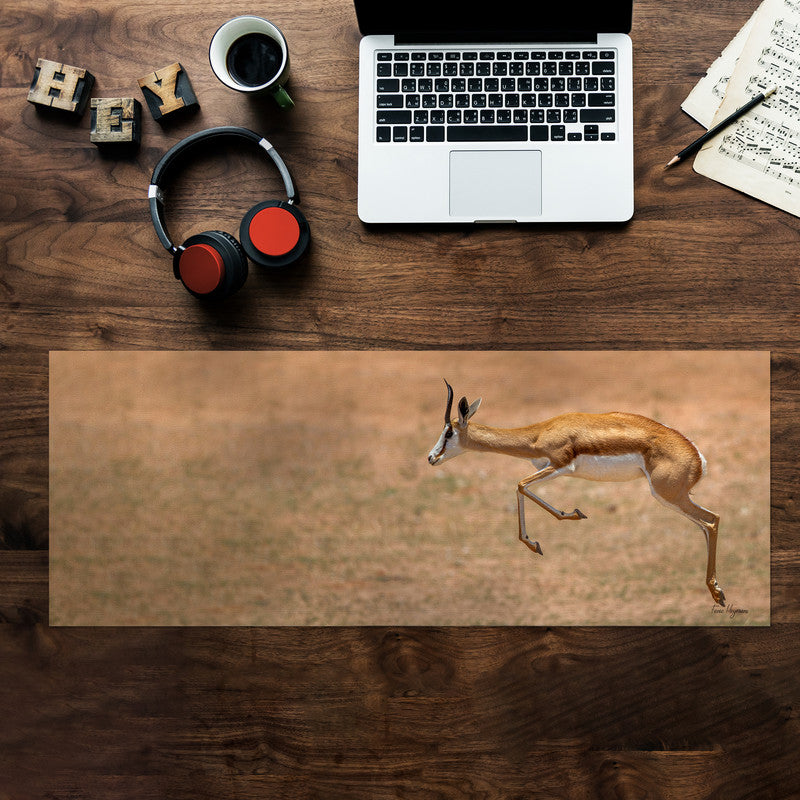 Airborne Springbok Desk Pad by Fanie Heymans