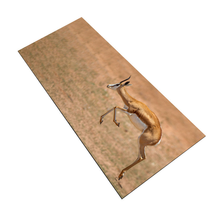 Airborne Springbok Desk Pad by Fanie Heymans