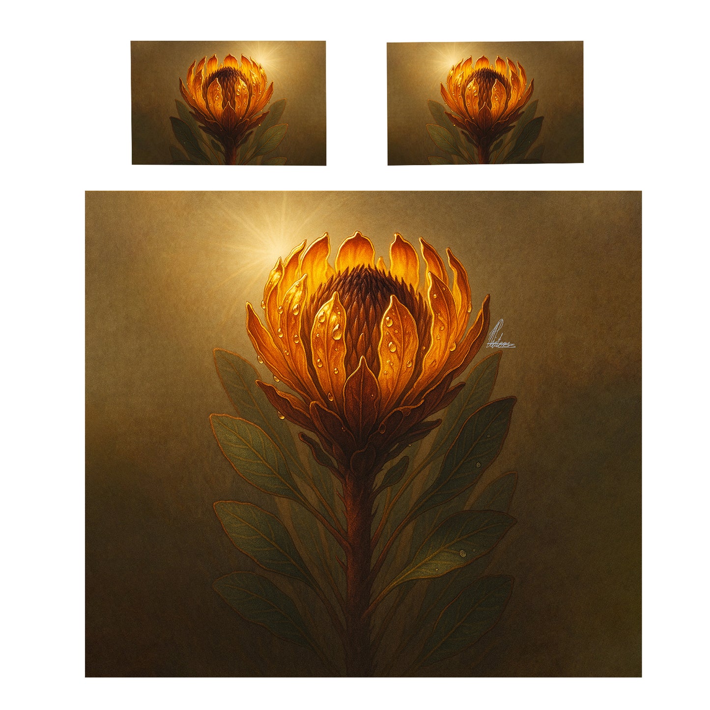 Amber Protea Bloom Duvet Cover Set by Nathan Pieterse