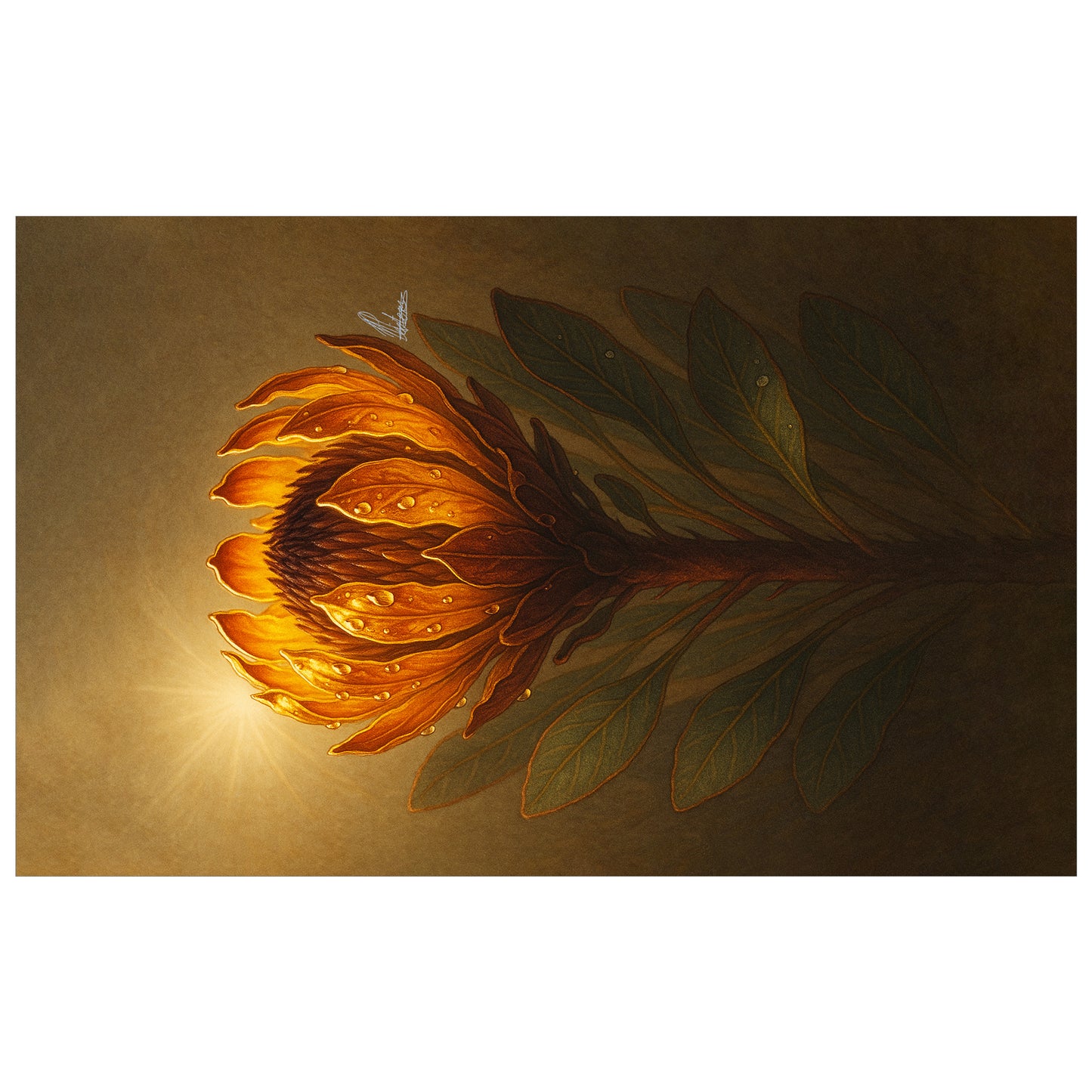 Amber Protea Bloom Rectangle Tablecloth by Nathan Pieterse
