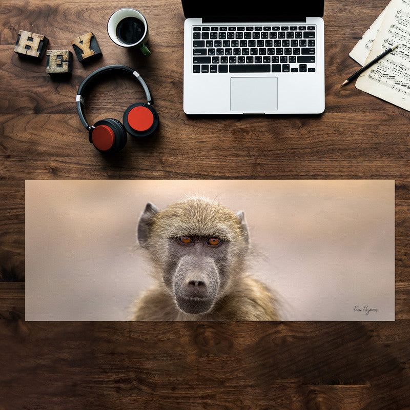 Baboon Portrait Desk Pad by Fanie Heymans