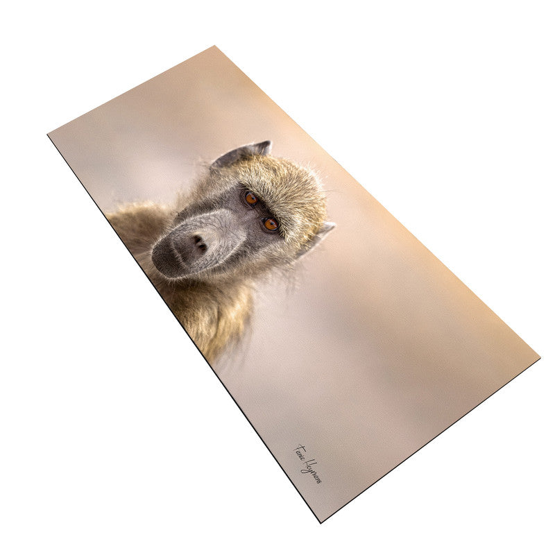 Baboon Portrait Desk Pad by Fanie Heymans