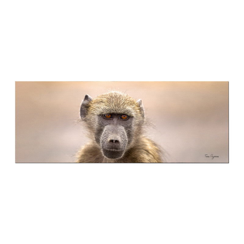 Baboon Portrait Desk Pad by Fanie Heymans