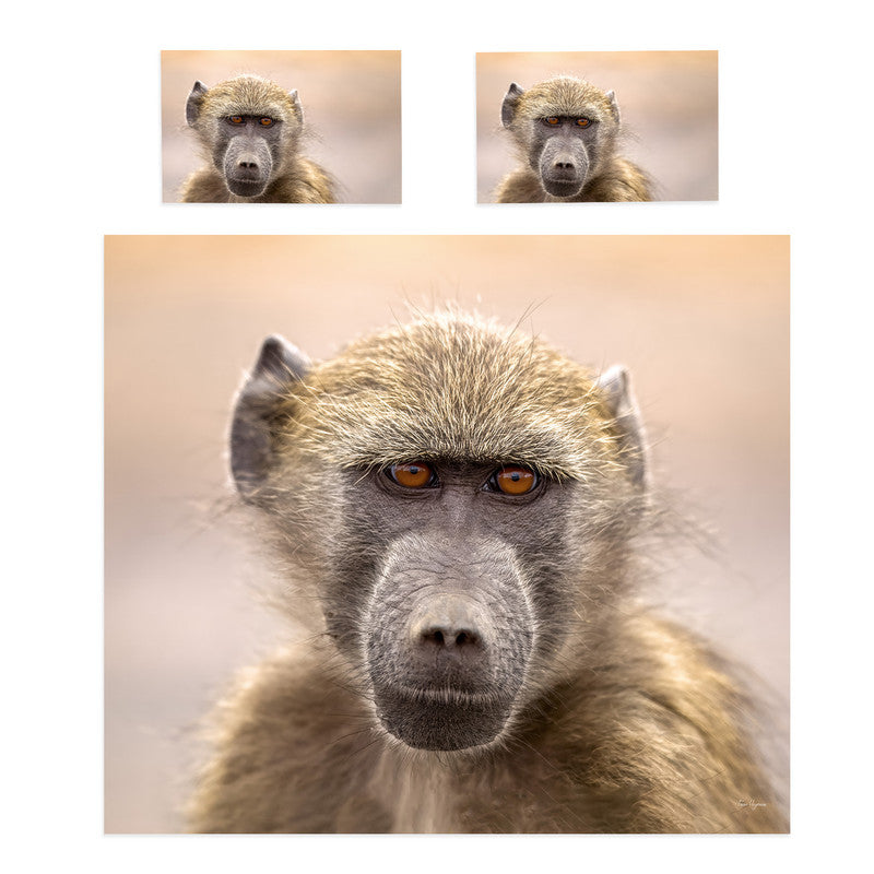 Baboon Portrait Duvet Cover Set By Fanie Heymans