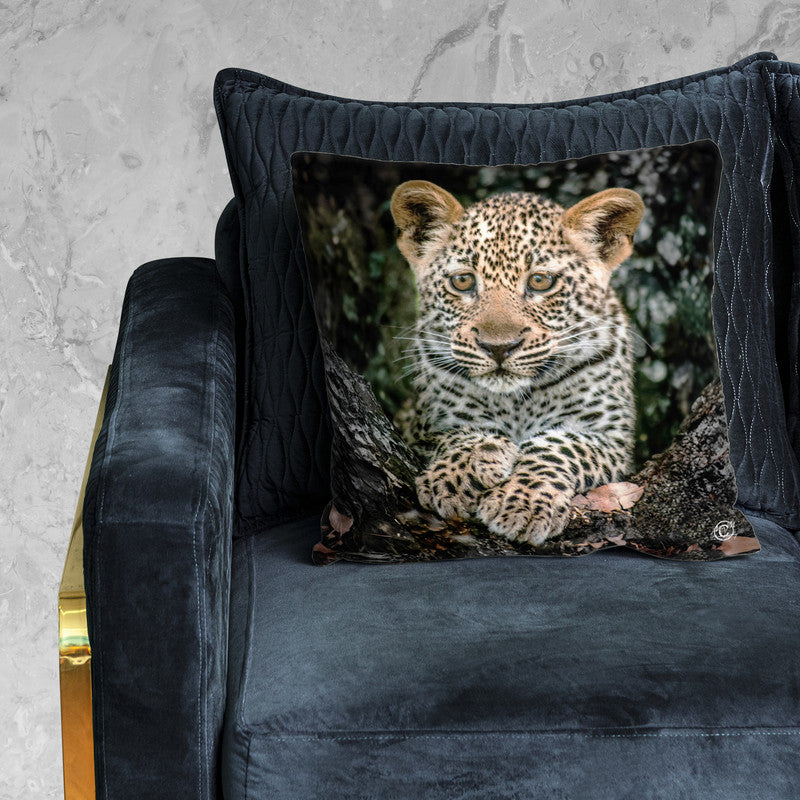Baby Leopard Luxury Scatter by Ferdie Muller