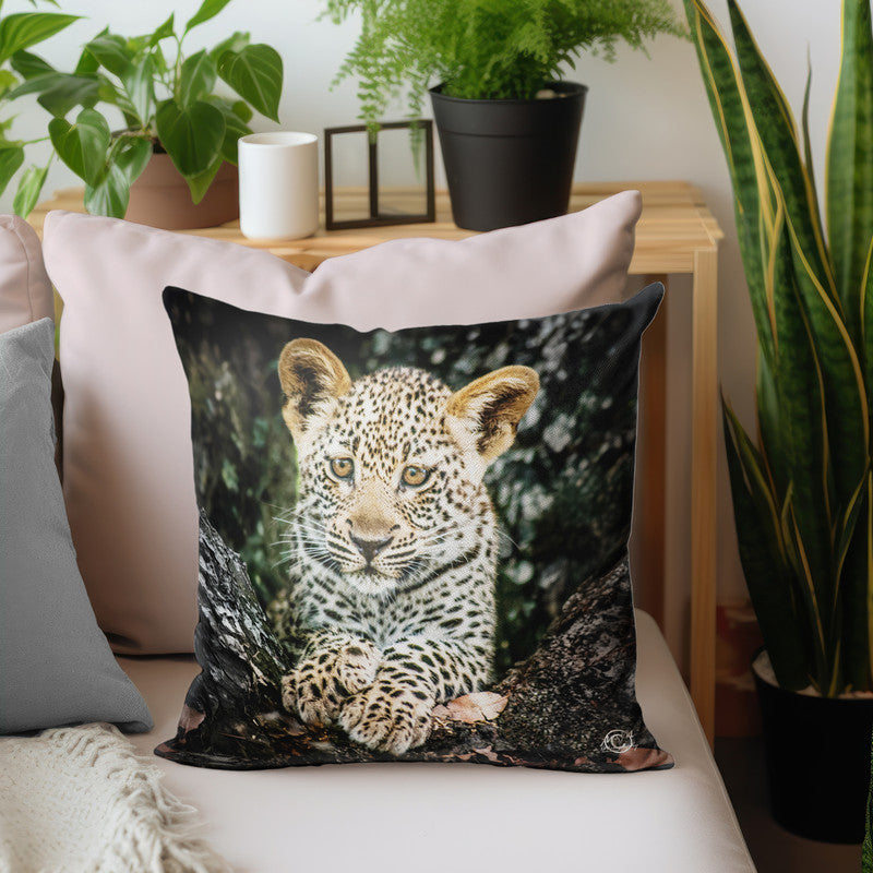 Baby Leopard Luxury Scatter by Ferdie Muller