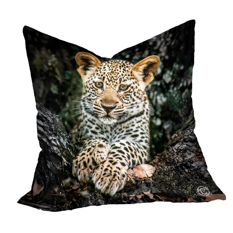 Baby Leopard Luxury Scatter by Ferdie Muller