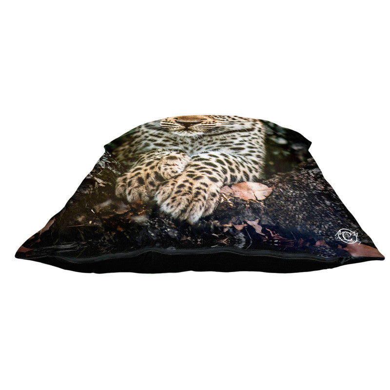 Baby Leopard Luxury Scatter by Ferdie Muller
