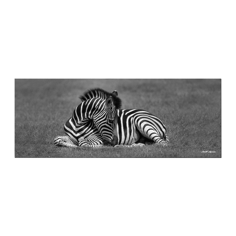 Baby Zebra Resting Desk Pad by Annette Heymans