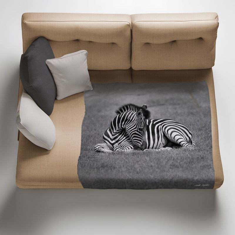 Baby Zebra Resting Light Weight Fleece Blanket by Annette Heymans
