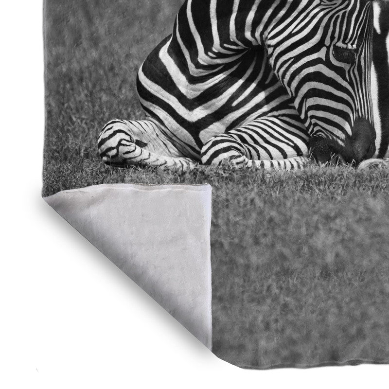 Baby Zebra Resting Light Weight Fleece Blanket by Annette Heymans