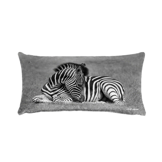 Baby Zebra Resting Oblong Luxury Scatter by Annette Heymans